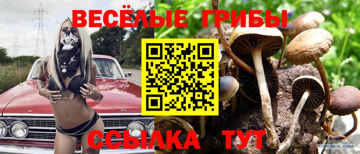 Ухта  Галлюциногенные грибы ЛСД  где найти   Вход с VPN 
